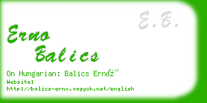 erno balics business card